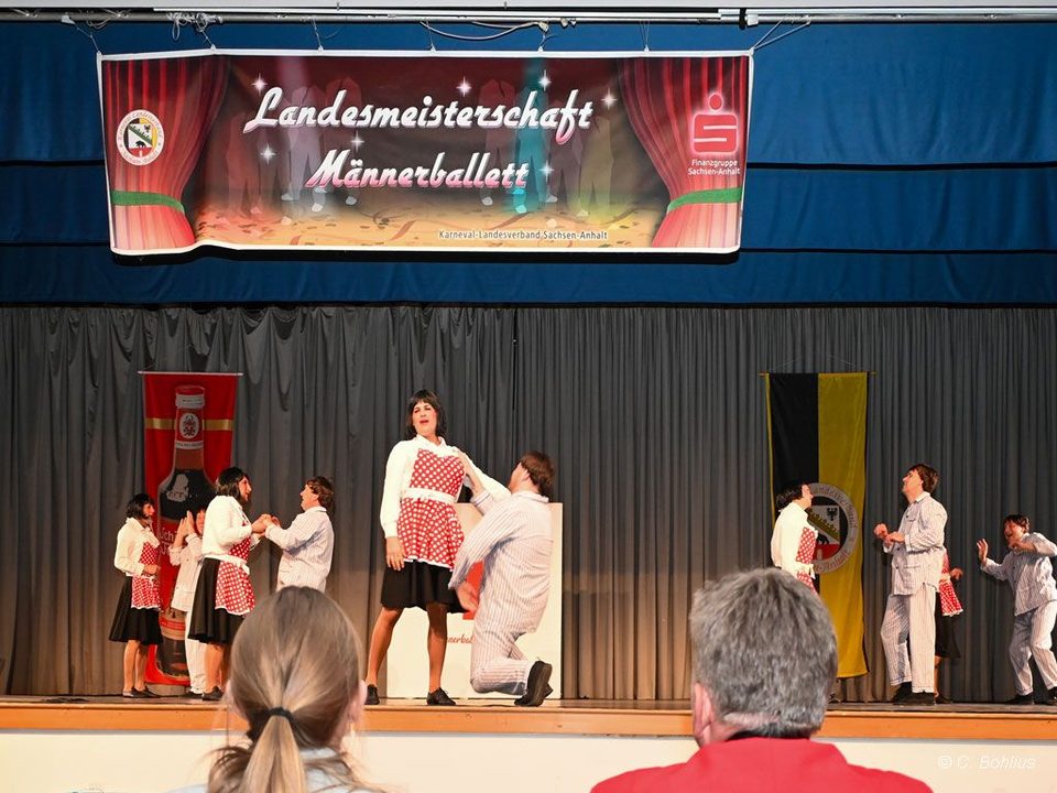 Landesmeisterschaft der Männerballette